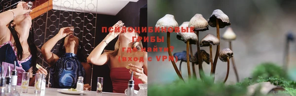 соль ск Арсеньев