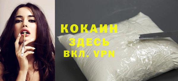 соль ск Арсеньев