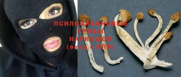 круглые Аркадак