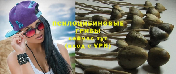 круглые Аркадак